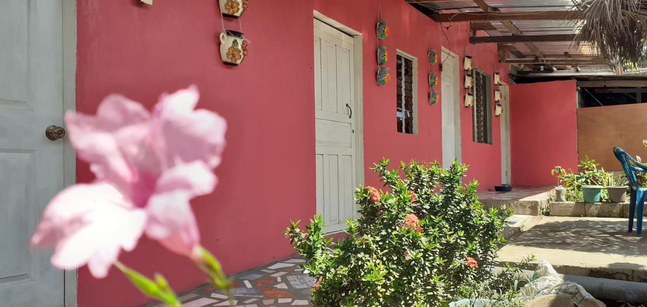 Guest House Nena Мойогалпа Екстериор снимка